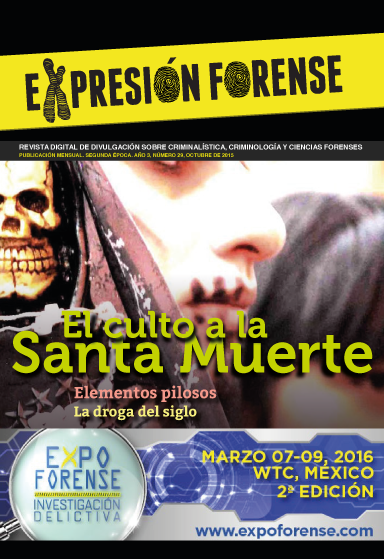 numero-29